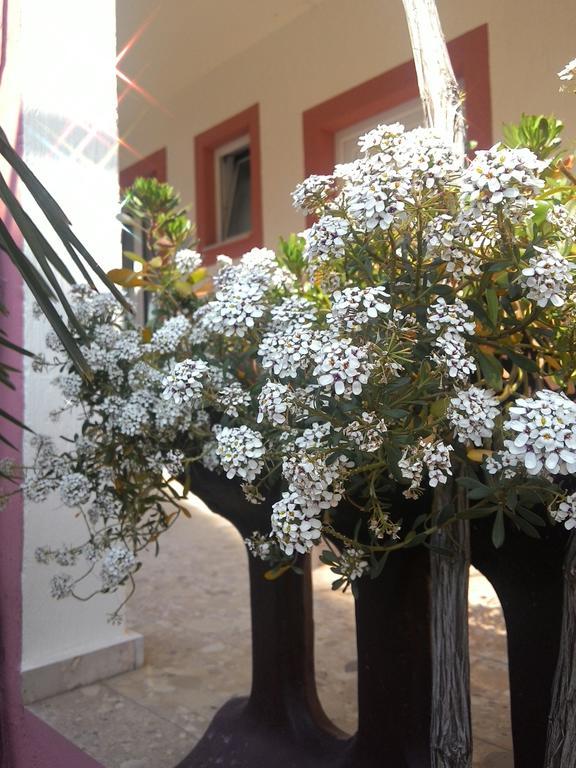 Apartments Zara Rom bilde